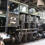 IMG_7881 (May 28, 2024)